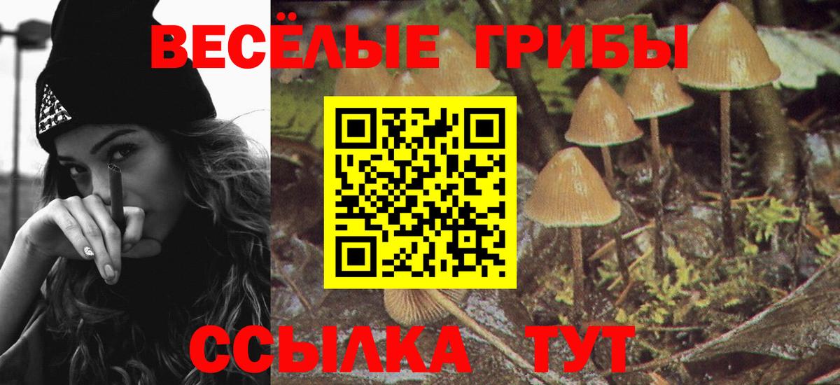 Галлюциногенные грибы Cubensis  Вход с VPN  купить   Менделеевск 