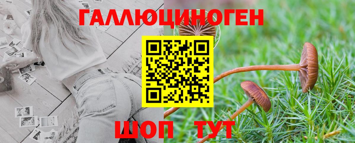 Галлюциногенные грибы MAGIC MUSHROOMS Менделеевск